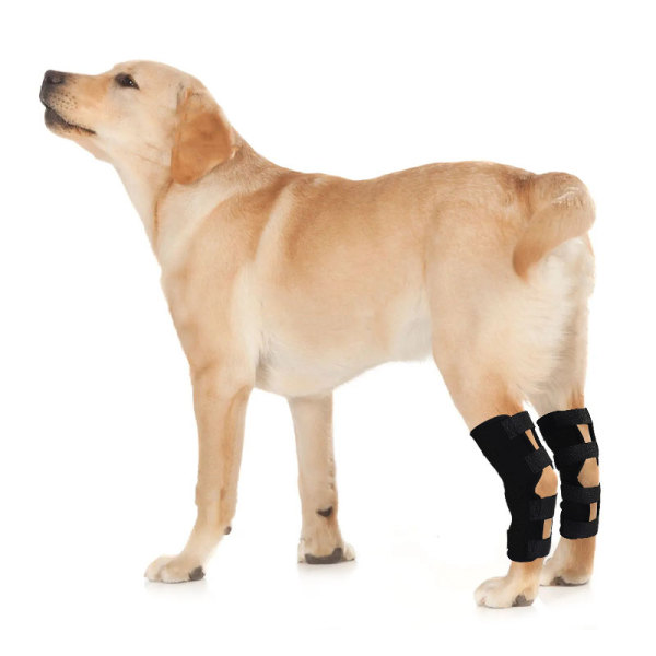 Dog Hock Wrap Braces Protector Post Surgery Injury