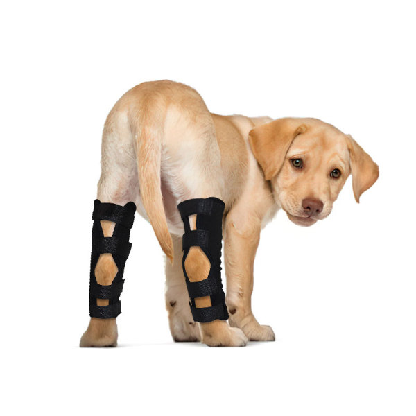 Dog Hock Wrap Braces Protector Post Surgery Injury