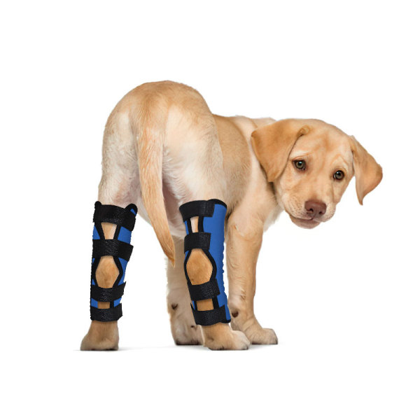 Dog Hock Wrap Braces Protector Post Surgery Injury