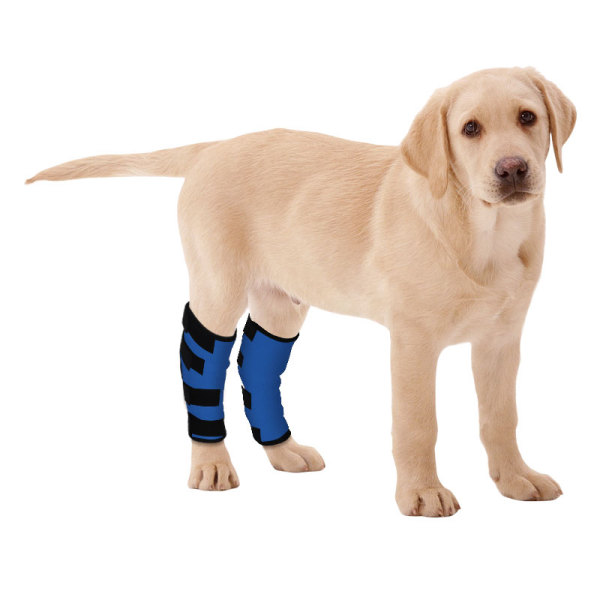 Dog Hock Wrap Braces Protector Post Surgery Injury