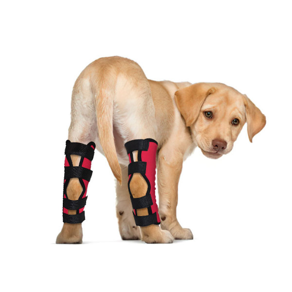 Dog Hock Wrap Braces Protector Post Surgery Injury