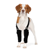 Dogs Carpal Therapy Wrap Brace