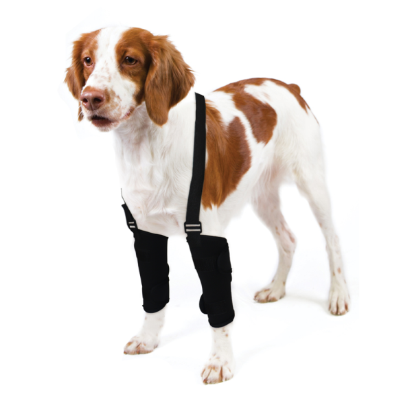 Dogs Carpal Therapy Wrap Brace