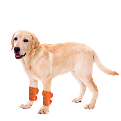 Dog Brace for Hock Carpal 