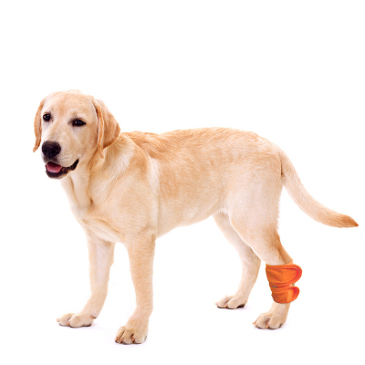 Dog Brace for Hock Carpal 