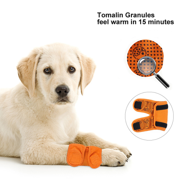 Dog Brace for Hock Carpal 