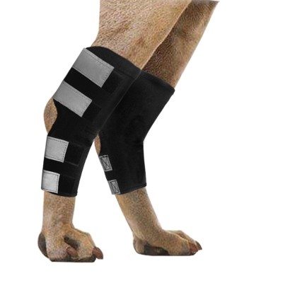 Dog Hock Brace