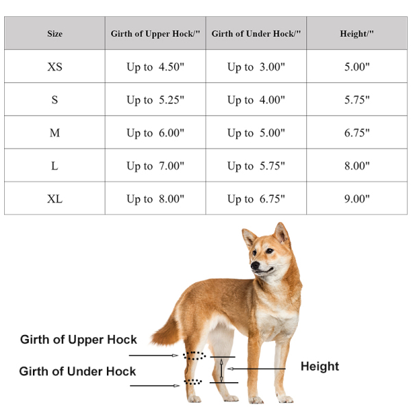 Dog Hock Brace