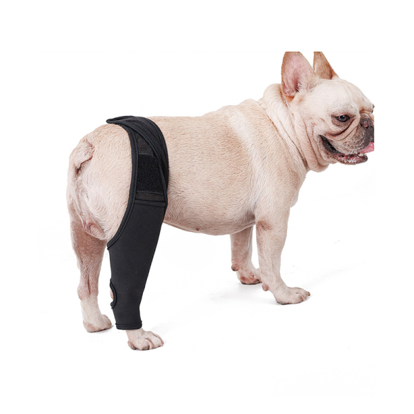 Dog Knee Brace