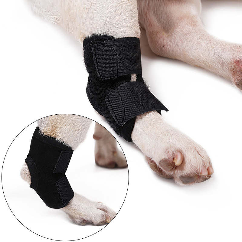 Hock Brace for Dog