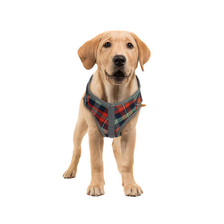 Dog Support Harness Front End