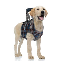 Dog Support Harness Front End