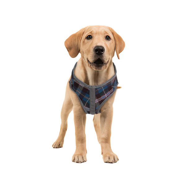 Dog Support Harness Front End