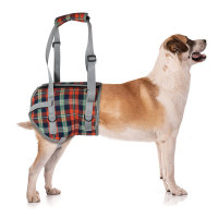 Dog Support Harness Rear End