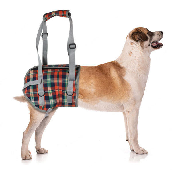 Dog Support Harness Rear End