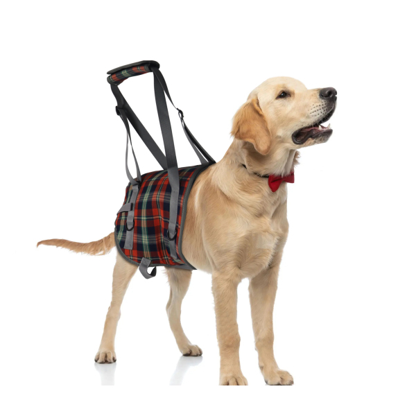 Dog Support Harness Rear End