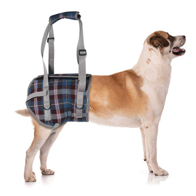 Dog Support Harness Rear End