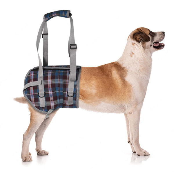 Dog Support Harness Rear End