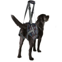 Dog Support Harness Rear End