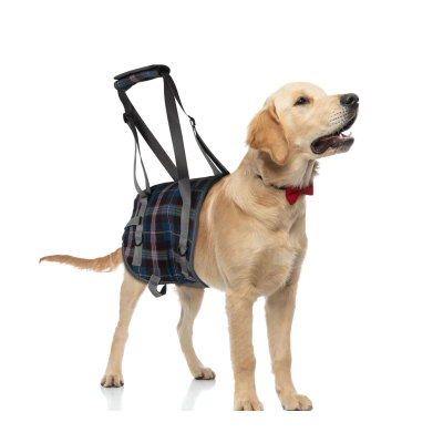 Dog Support Harness Rear End