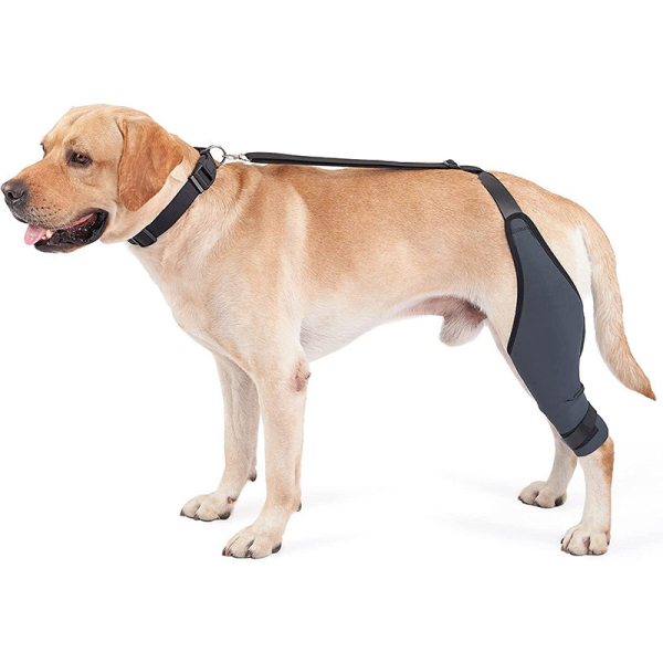 Dog Knee Brace Left