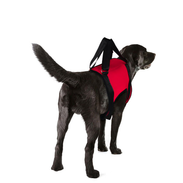 Dog Front End Support Harness 
