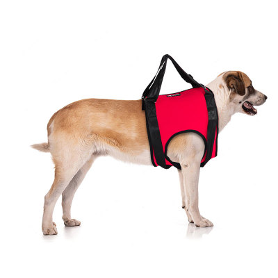 Dog Front End Support Harness 