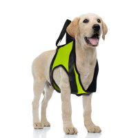 Dog Front End Support Harness 