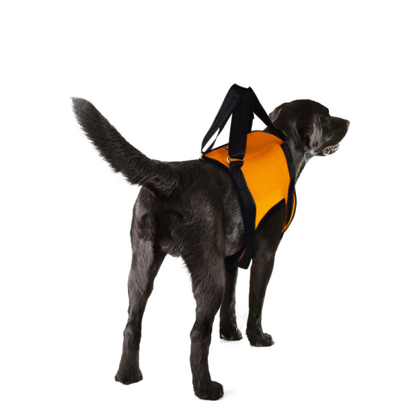 Dog Front End Support Harness 
