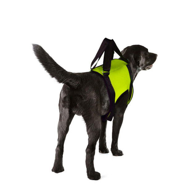 Dog Front End Support Harness 