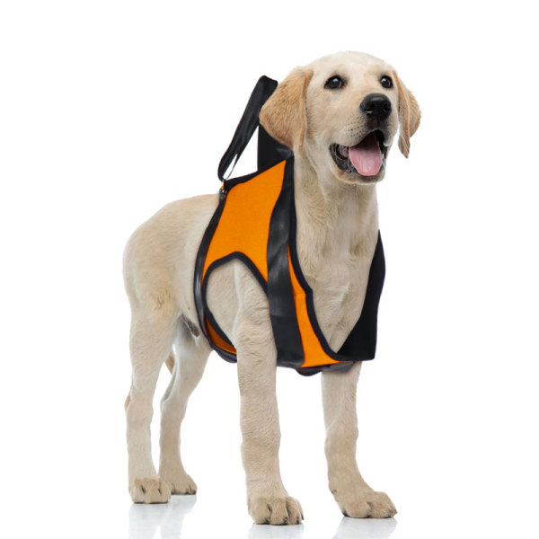 Dog Front End Support Harness 