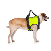 Dog Front End Support Harness 