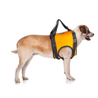 Dog Front End Support Harness 
