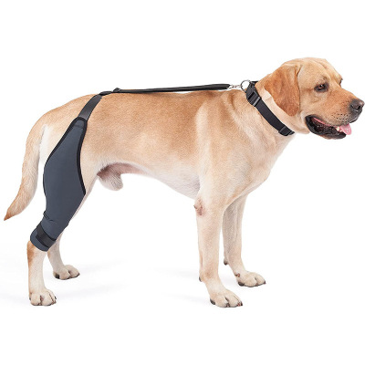 Dog Knee Brace Right