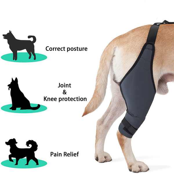 Dog Knee Brace Left