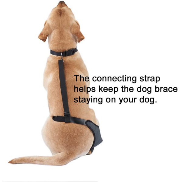 Dog Knee Brace Left