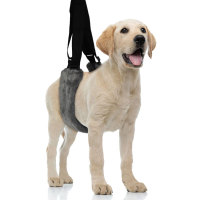 Dog Plush Support Sling