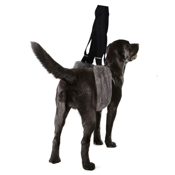 Dog Plush Support Sling