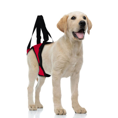 Dog Rear End Support Harness 