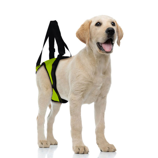 Dog Rear End Support Harness 