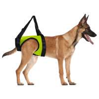 Dog Rear End Support Harness 