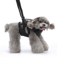 Dog Support Harness for Front Leg