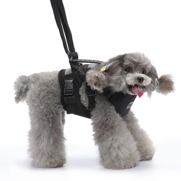 Dog Support Harness for Front Leg