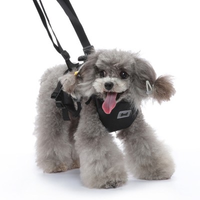 Dog Support Harness for Front Leg