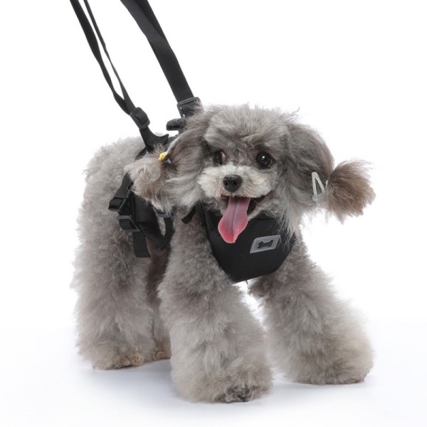 Dog Support Harness for Front Leg