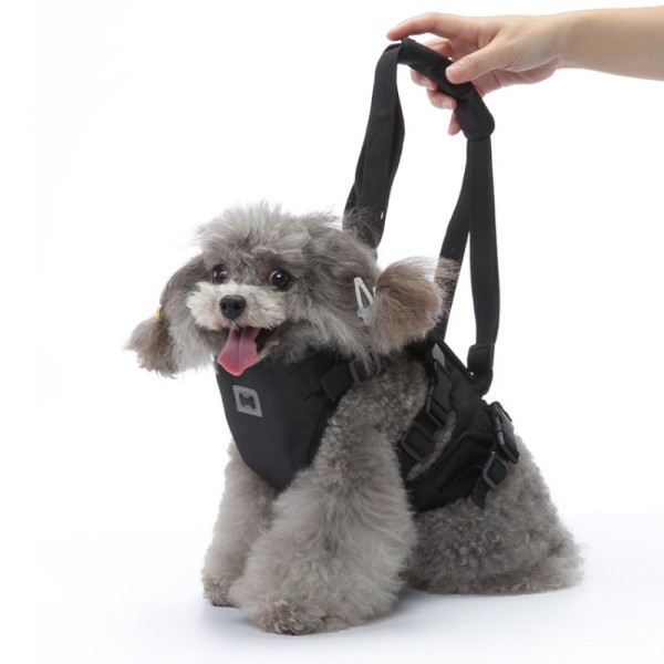 Dog Support Harness for Front Leg
