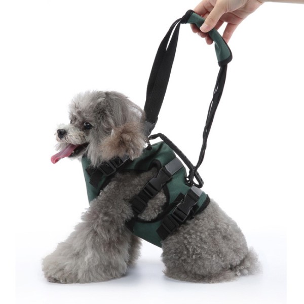Dog Support Harness for Front Leg