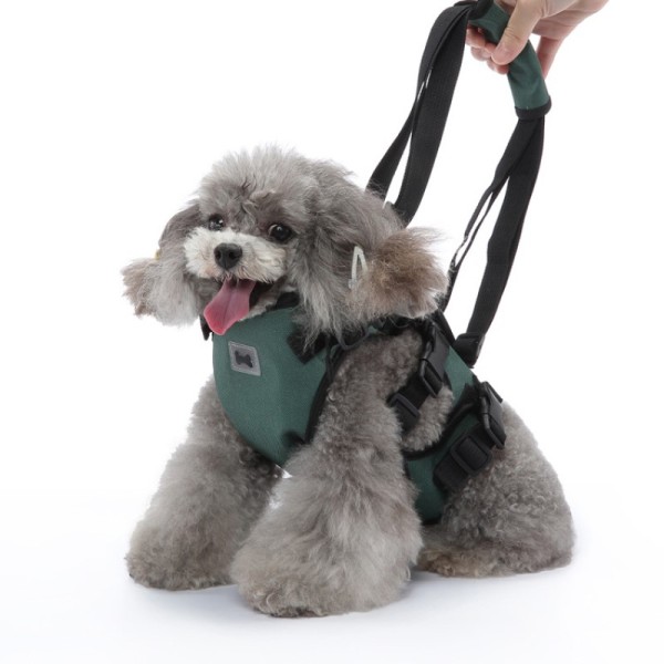 Dog Support Harness for Front Leg