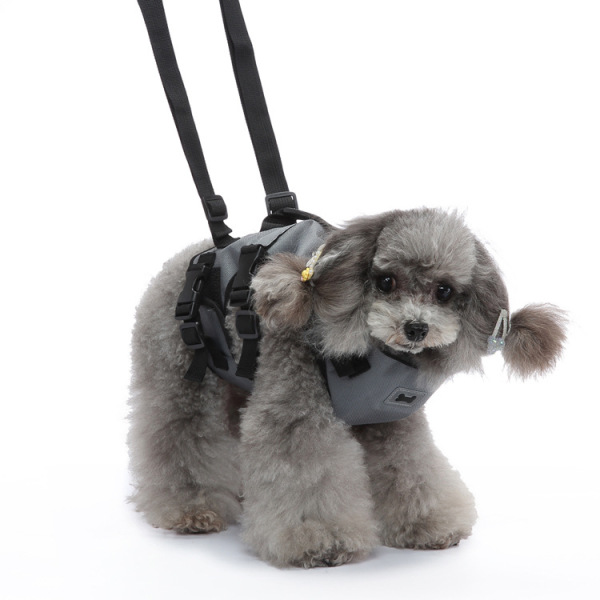 Dog Support Harness for Front Leg