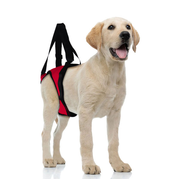 Dog Total Body Support Harness 
